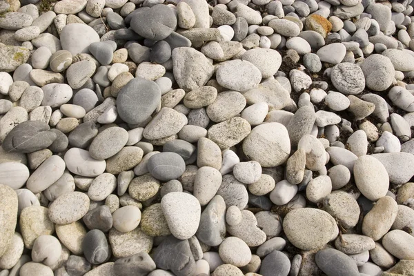 小石のビーチ — ストック写真