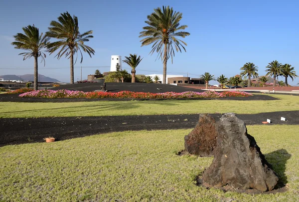 Beautiful Lanzarote's green square — Stock Photo, Image