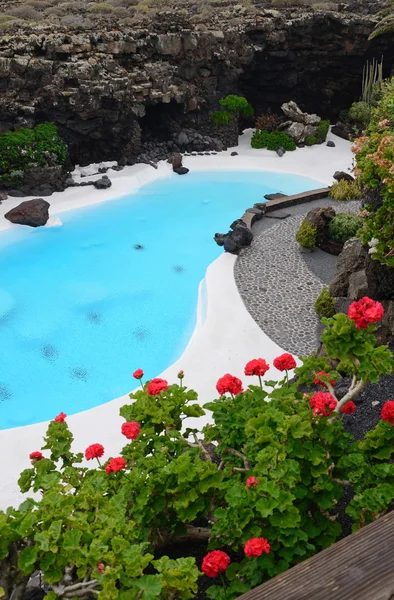 Vista superior para piscina tropical — Foto de Stock