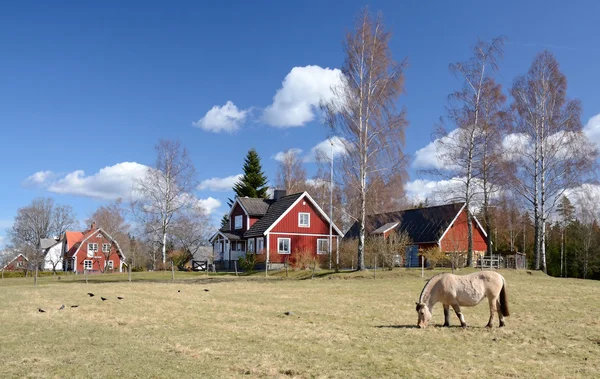 Paesaggio idilliaco della campagna svedese — Foto Stock