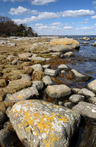Красивое побережье Швеции — стоковое фото