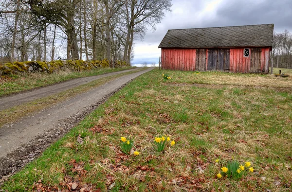 Swedish village in spring season — Stock Photo, Image