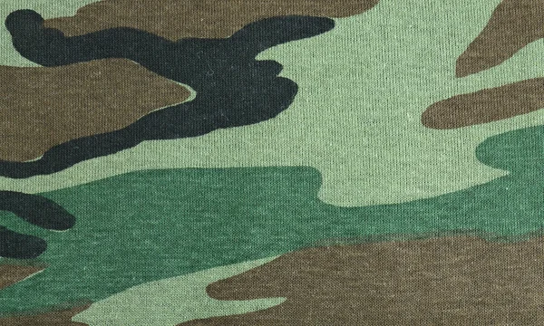 Stock image Military fabric background