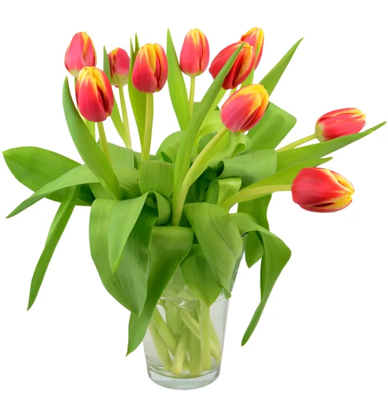 チューリップの花と花瓶 — ストック写真