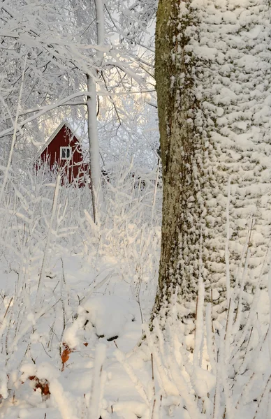 Swedish winter contrasts — Stock Photo, Image