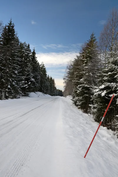 Viajar a Suecia en invierno —  Fotos de Stock