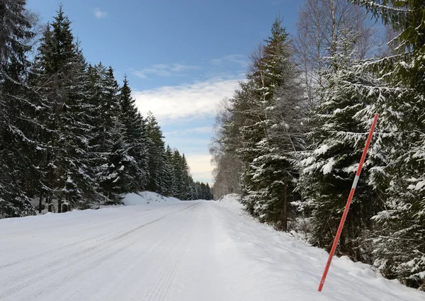 Voyager en Suède en hiver — Photo