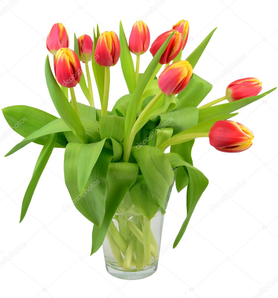 Vase with tulip flowers