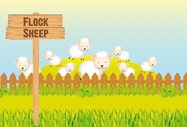 Flock Sheep — Stock Vector