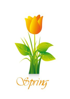 yellow tulip clipart