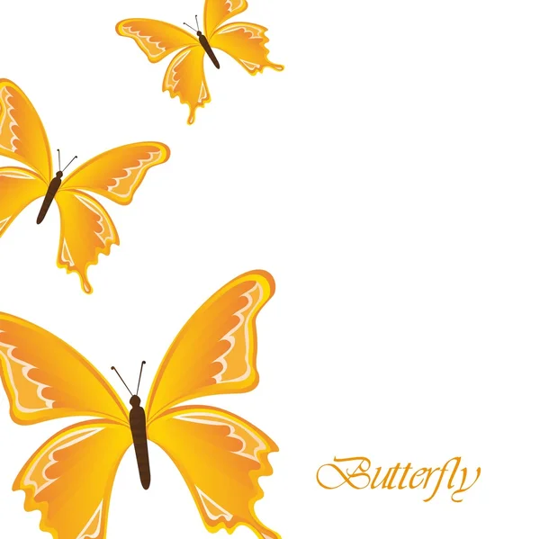 Gelbe Schmetterlinge — Stockvektor