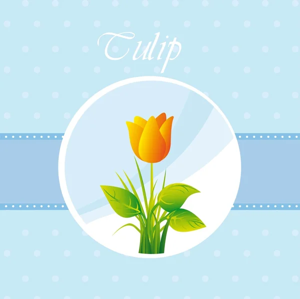 Yellow tulip — Stock Vector