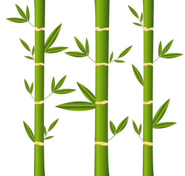 Bambu — Stock vektor