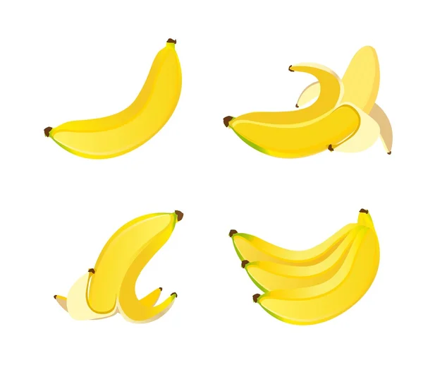 Bananen — Stockvektor