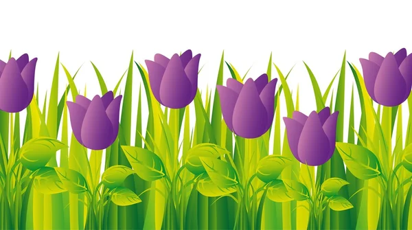 Purple tulips — Stock Vector