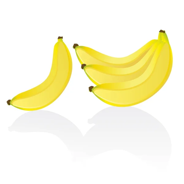Plátano y racimo de plátanos — Vector de stock