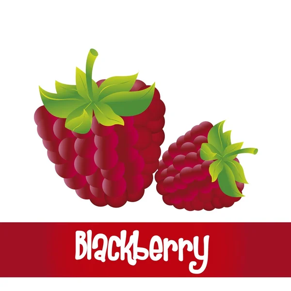 Blackberry aislado — Archivo Imágenes Vectoriales