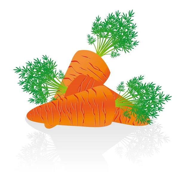 Group of carrots — Stock Vector
