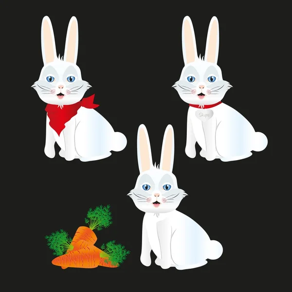 兔子的配件 — 图库矢量图片