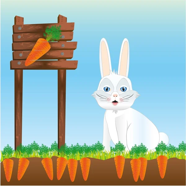 stock vector rabbit in harvest of carrots