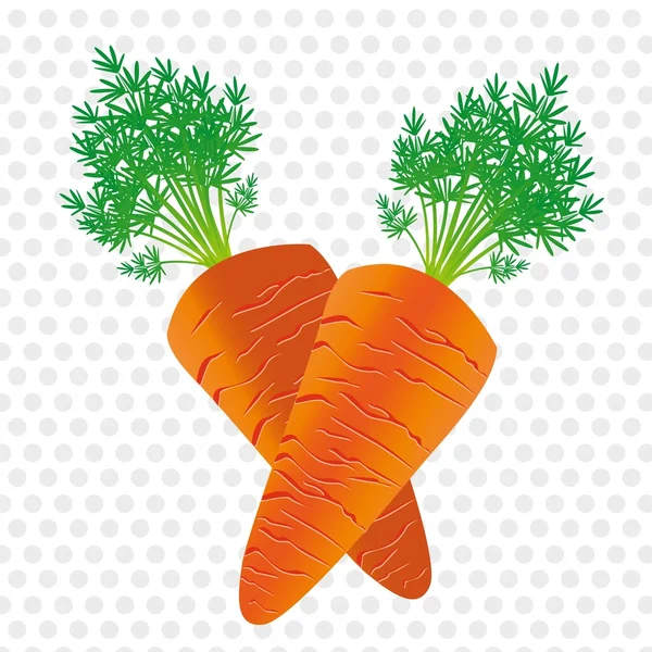 胡萝卜 — 图库矢量图片