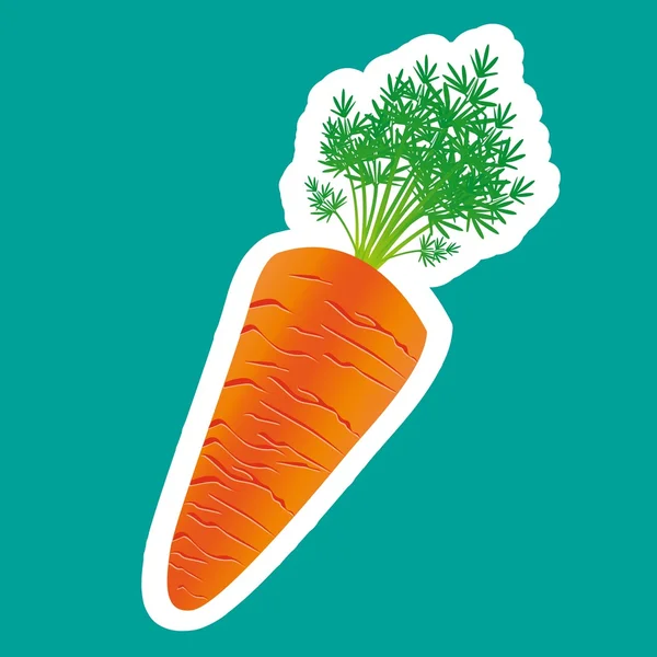 胡萝卜的不干胶标签 — 图库矢量图片