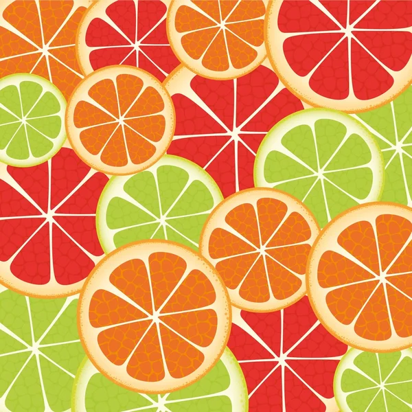 Skivor av citrusfrukter — Stock vektor