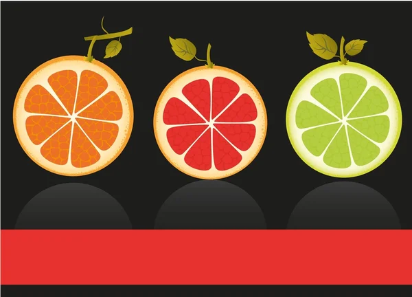 Citrusové plody vektor — ストックベクタ