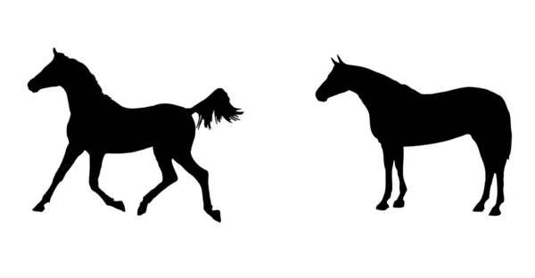 Кінь силует — стоковий вектор