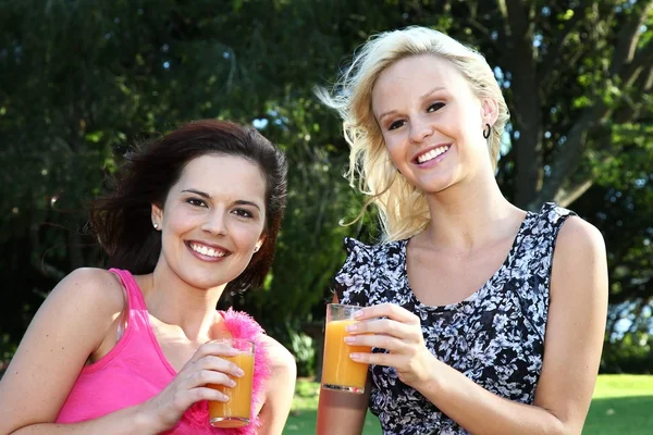 Mujeres encantadoras bebiendo vino al aire libre — Foto de Stock