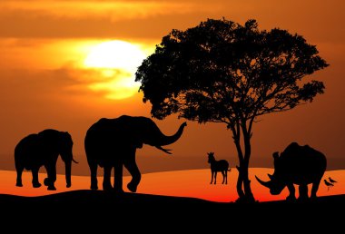 African Wildlife Sunset Scene clipart