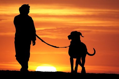 Sunrise Dog Walk clipart