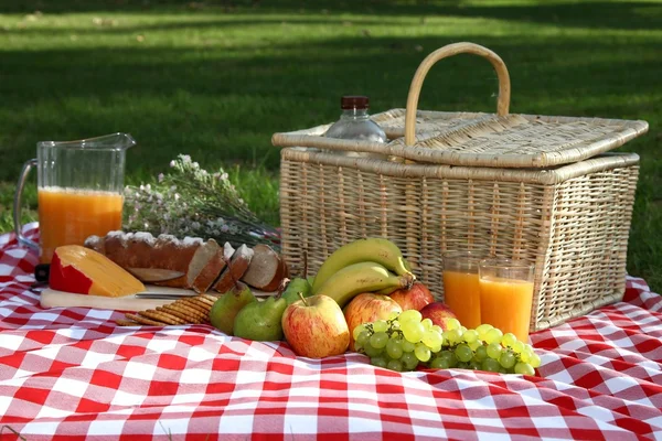 Läcker picknick sprida — Stockfoto