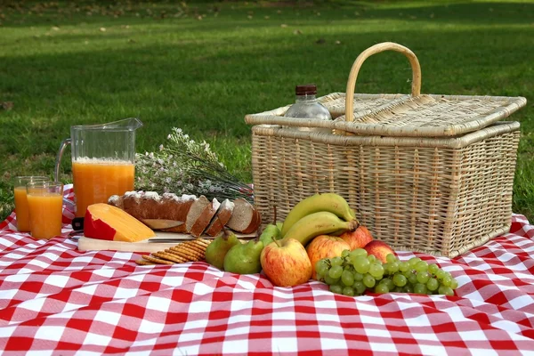 Finom piknik terjedése — Stock Fotó
