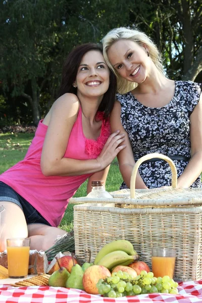 Hinreißend lächelnde Freundinnen beim Picknick — Stockfoto