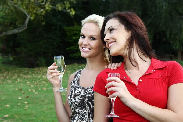 Mujeres encantadoras bebiendo vino al aire libre — Foto de Stock