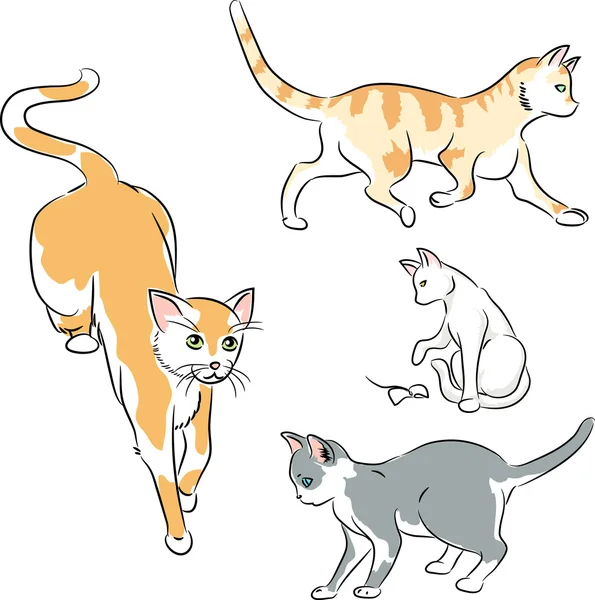 Colored ink sketches of cats — Stock Vector