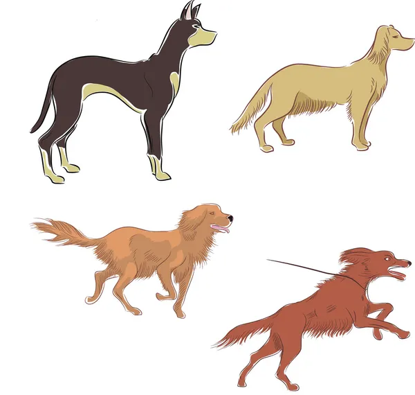 Farbige Tuschskizzen von Hunden — Stockvektor