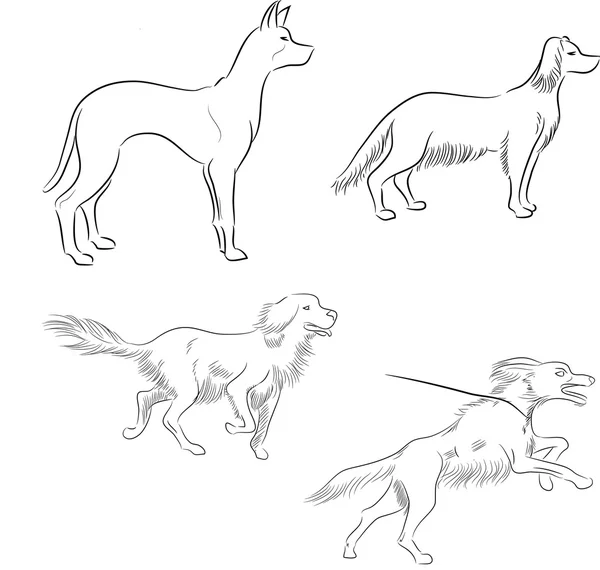 Bocetos de tinta de perros — Vector de stock
