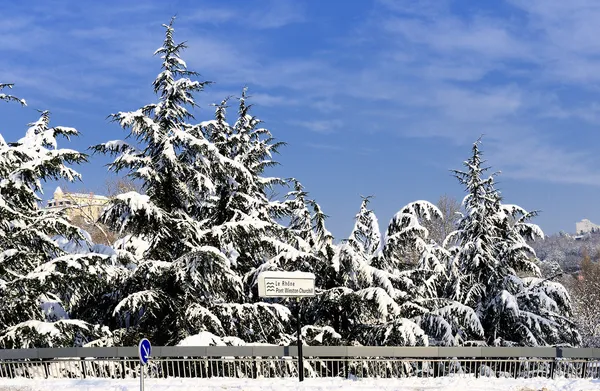 Lyon kar tarafından — Stok fotoğraf