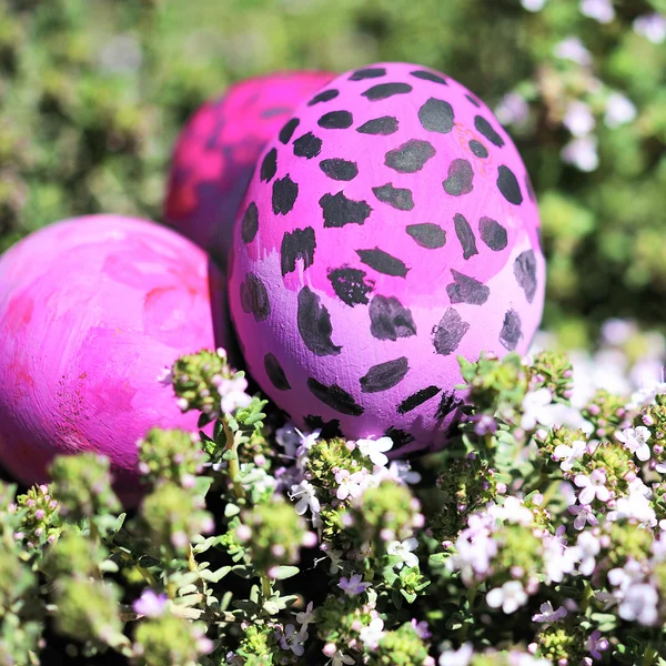 Some decorated easter eggs — Stock Photo, Image