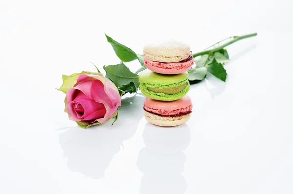 Rose and macarons — Stock Photo, Image