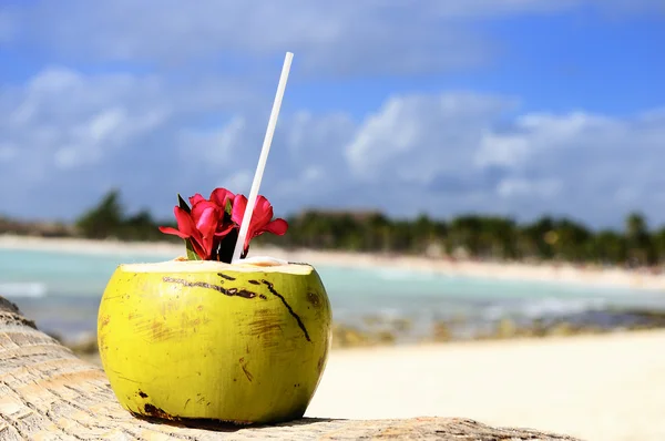 Noci di cocco sulla spiaggia — Foto Stock