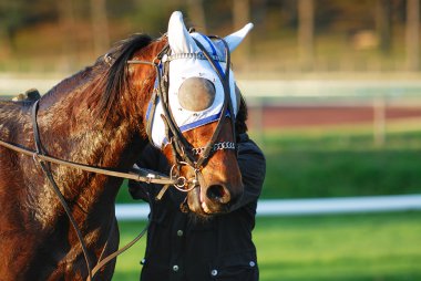 Horse Racing clipart