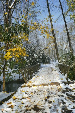 Kışın güzel park