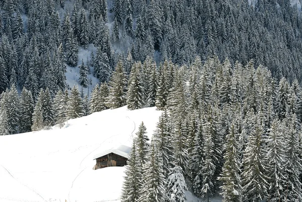 Chalet en hiver — Photo