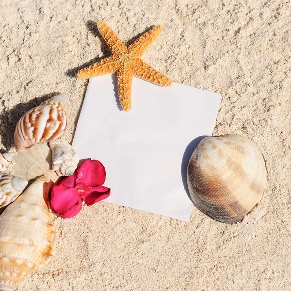 Blank paper beach sand starfish shells summer — Stock Photo, Image