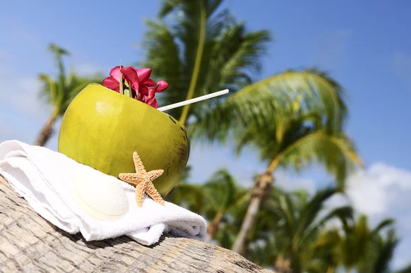 Kokosnoten op het strand — Stockfoto