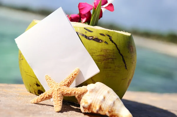 Cocktail cocco spiaggia paradiso caraibico — Foto Stock