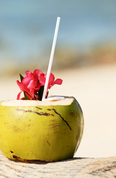 Kokosnötter på stranden — Stockfoto